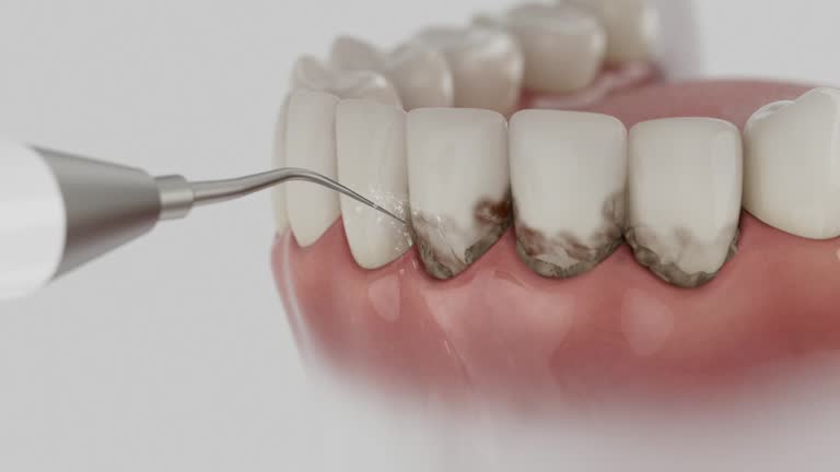 Reliable Dental contractor in Townsend, MT by Dentist Open Now
